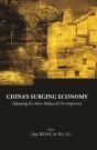China'S Surging Economy: Adjusting For More Balanced Development - Preview