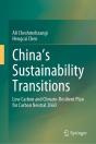 China'S Sustainability Transitions - Preview