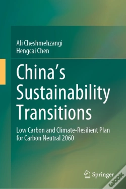 Capa do artigo China'S Sustainability Transitions
