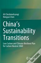 China'S Sustainability Transitions