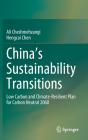 China'S Sustainability Transitions - Preview