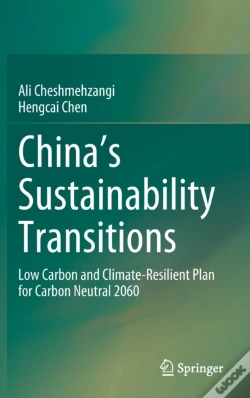 Capa do artigo China'S Sustainability Transitions