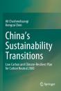 China'S Sustainability Transitions - Preview