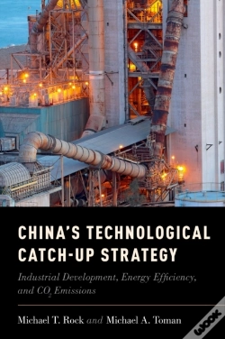 Capa do artigo China'S Technological Catch-Up Strategy