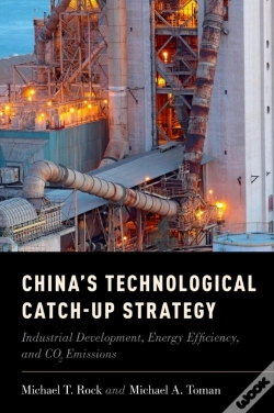 Capa do artigo China'S Technological Catch-Up Strategy