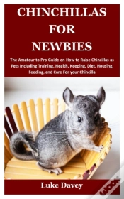 Capa do artigo Chinchillas For Newbies