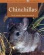 Chinchillas - Preview