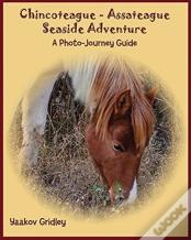 Chincoteague-Assateague Seaside Adventure