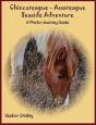 Chincoteague-Assateague Seaside Adventure - Preview
