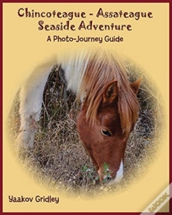 Capa do artigo Chincoteague-Assateague Seaside Adventure