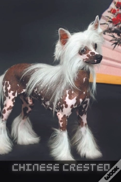 Capa do artigo Chinese Crested