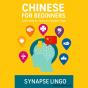 Chinese For Beginners - Preview