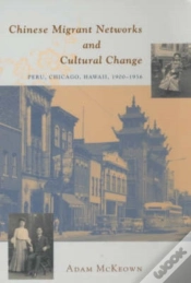 Capa do artigo Chinese Migrant Networks And Cultural Change