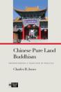 Chinese Pure Land Buddhism - Preview