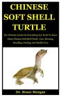 Chinese Soft Shell Turtle - Preview