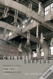 Capa do artigo Chinese Surplus