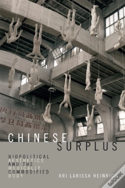 Capa do artigo Chinese Surplus