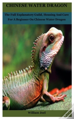 Capa do artigo Chinese Water Dragon