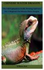 Chinese Water Dragon - Preview