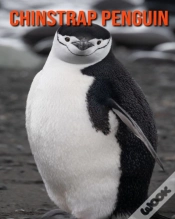 Capa do artigo Chinstrap Penguin