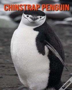 Capa do artigo Chinstrap Penguin