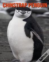 Chinstrap Penguin