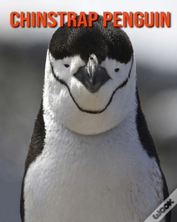 Capa do artigo Chinstrap Penguin