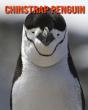 Chinstrap Penguin - Preview