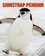 Chinstrap Penguin