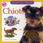 Chiots - Preview