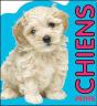 Chiots - Preview