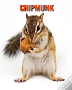 Capa do artigo Chipmunk