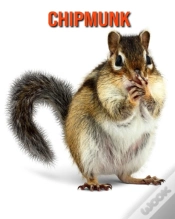 Capa do artigo Chipmunk