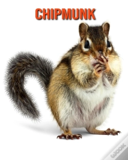 Capa do artigo Chipmunk