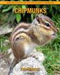 Chipmunks - Preview