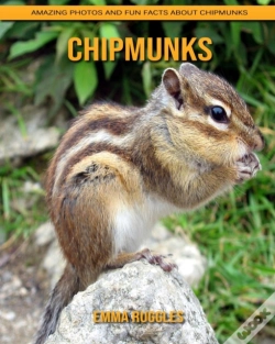 Capa do artigo Chipmunks