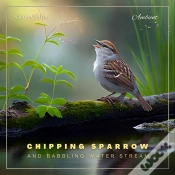 Capa do artigo Chipping Sparrow And Babbling Water Stream