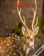 Chital
