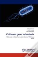 Chitinase Gene In Bacteria
