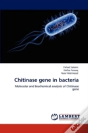 Capa do artigo Chitinase Gene In Bacteria
