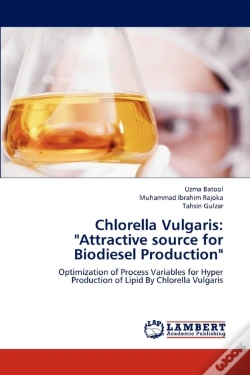 Capa do artigo Chlorella Vulgaris: "Attractive Source For Biodiesel Production"