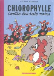 Chlorophylle Contre Les Rats Noirs