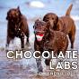 Chocolate Labs Calendar 2021 - Preview