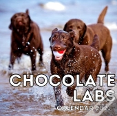 Chocolate Labs Calendar 2021