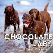 Capa do artigo Chocolate Labs Calendar 2021