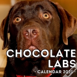 Capa do artigo Chocolate Labs Calendar 2021