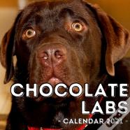 Chocolate Labs Calendar 2021