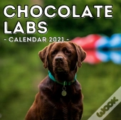 Chocolate Labs Calendar 2021