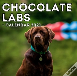 Capa do artigo Chocolate Labs Calendar 2021