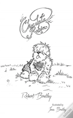 Capa do artigo Chocolate Robin